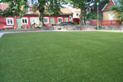 IMG6780