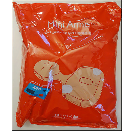 Mini Anne