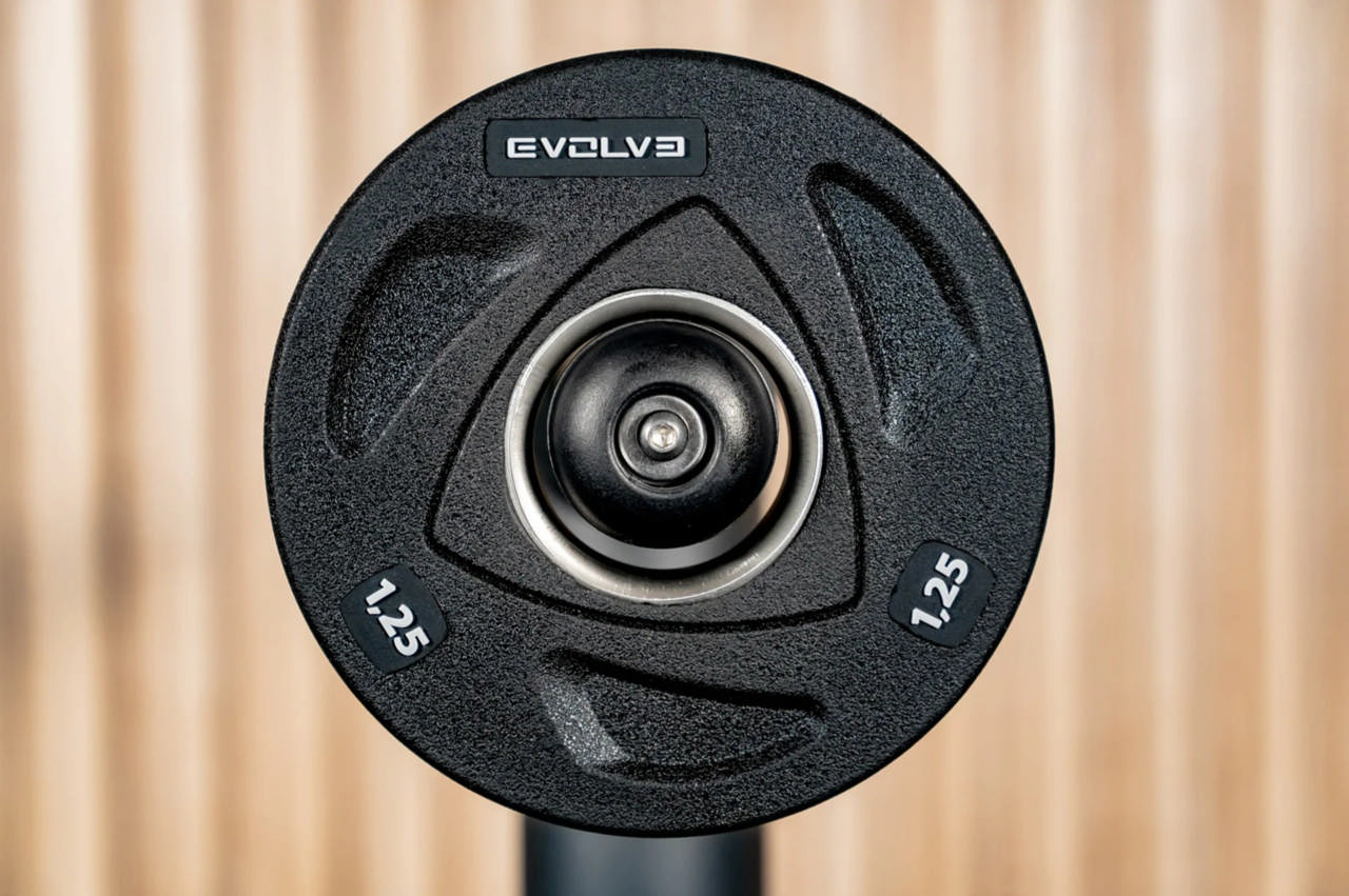 Levypaino Evolve Rubbered 1,25 kg