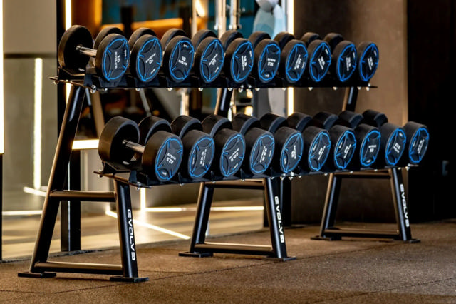 Käsipainoteline 2-tasoinen Evolve RS-DR-100