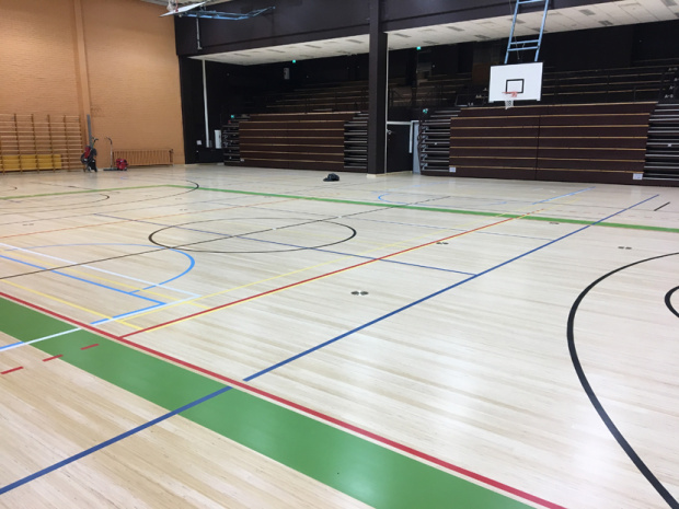 Peluri 160 kertopuukoivu, Kuopio
