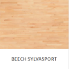 Beech Sylvasport